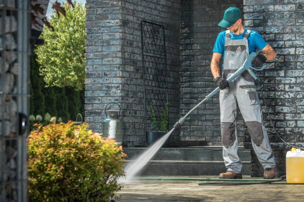 Best Animal Enclosure Cleaning  in Martindale, TX
